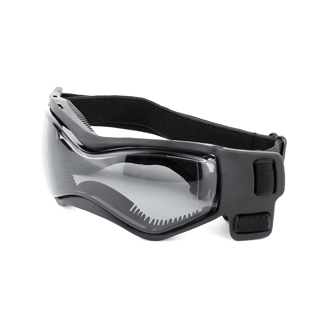 Lunettes de soleil anti-UV pour chien
