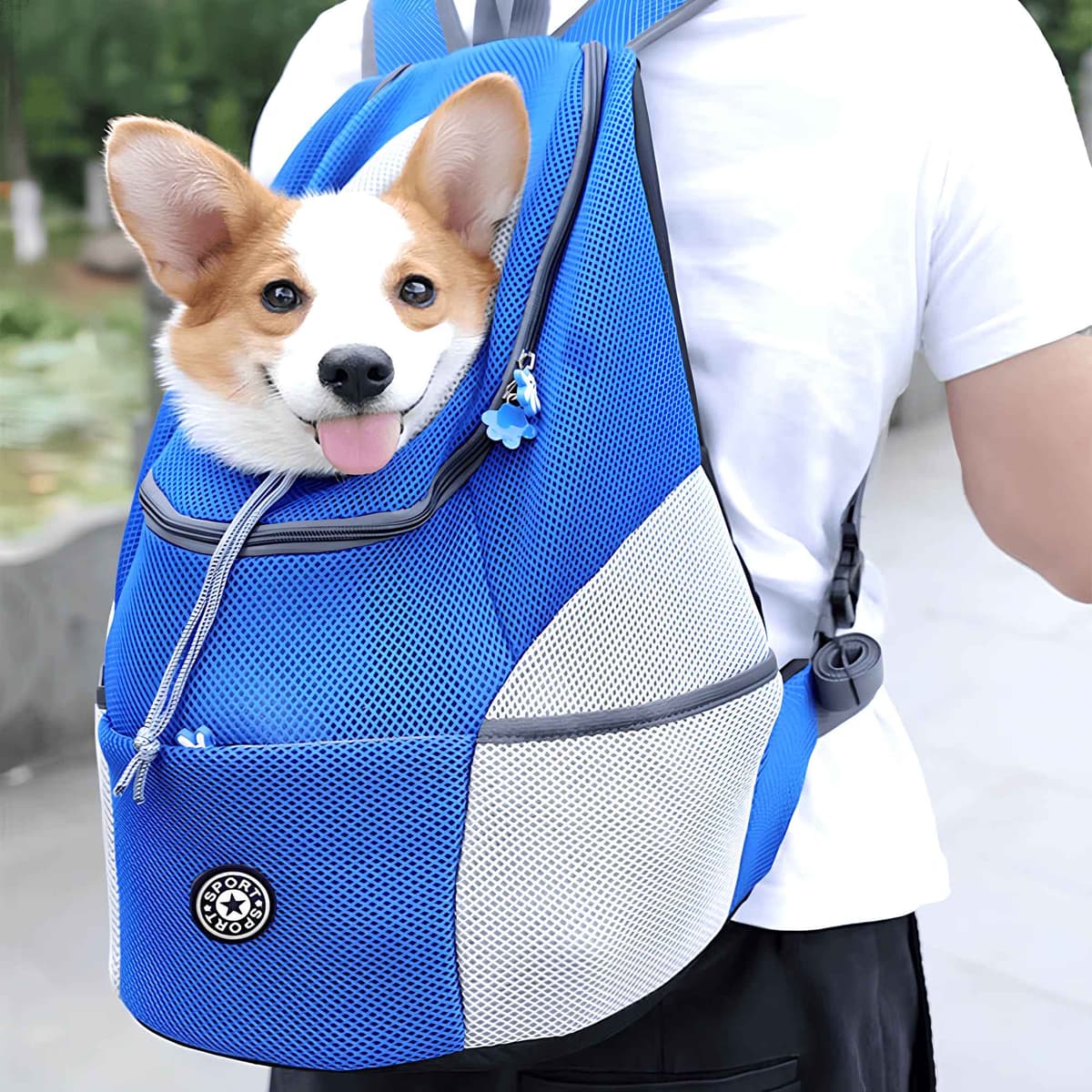 sac a dos chien avantage 1