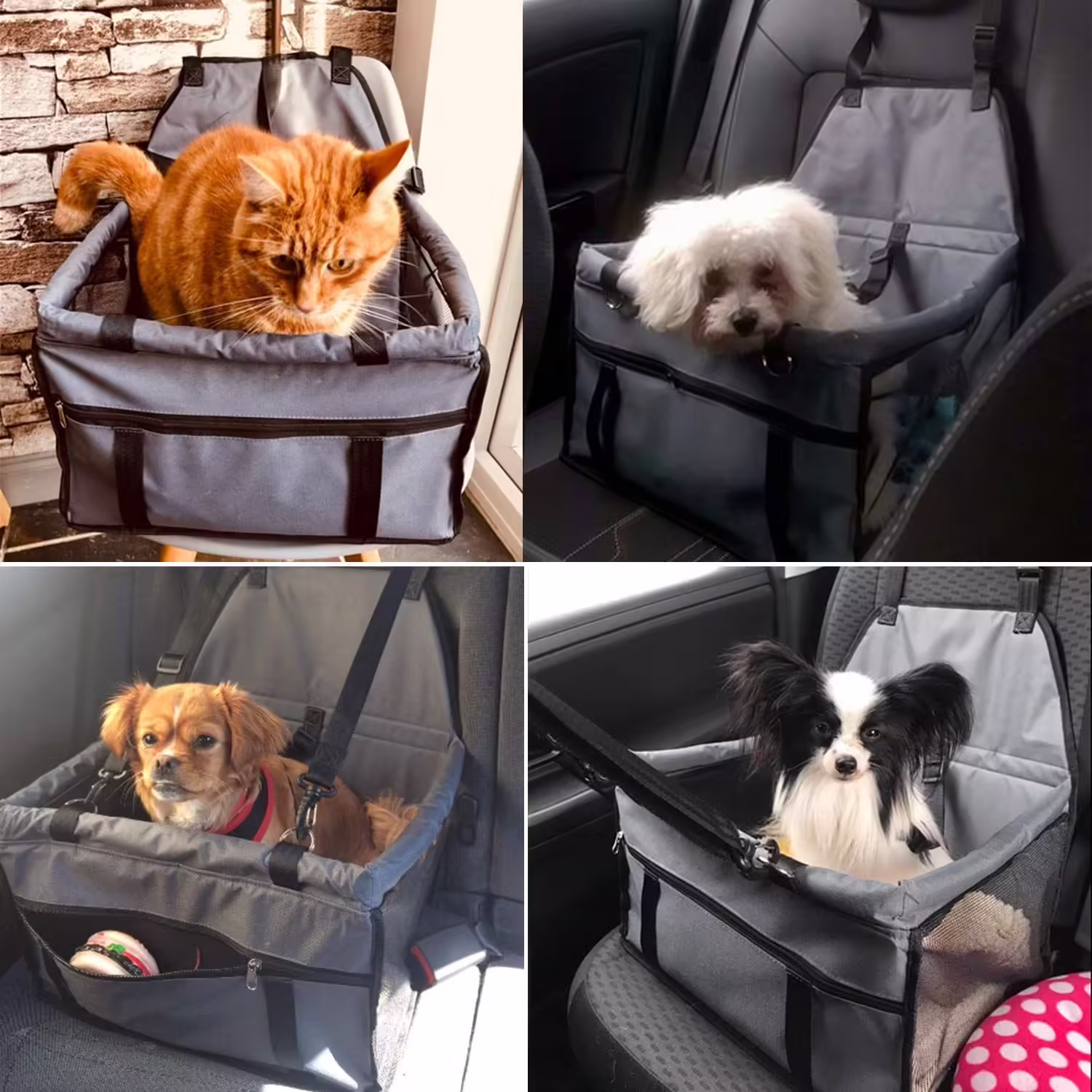 Confort optimal pour l'animal